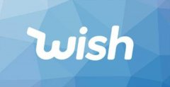 Wish创始人：我们能建立新一代的沃